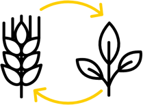 agricoltura-sostenibile