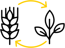 agricoltura-sostenibile agricoltura-sostenibile