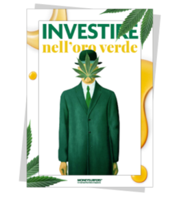 money_surfers_storia_il_report_della_cannabis